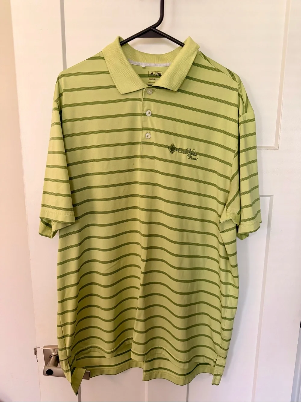 Light Green Striped Men’s Polo Shirt